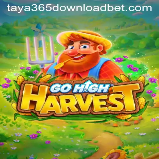 Discover the Exciting World of GoHighHarvest and the Taya365 Download