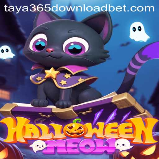 HalloweenMeow: A Spooktacular Adventure Awaits